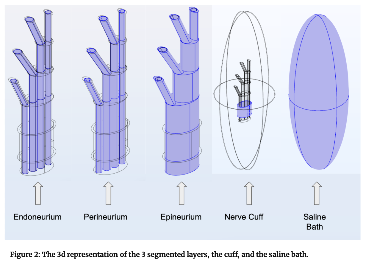 Figure 2. 3D nerve, cuff, and saline-bath geometry used for field solves.